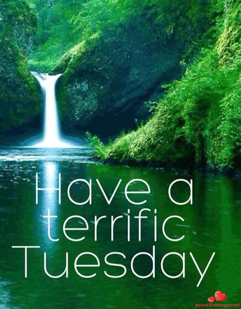 tuesday uploadrocket.net|T Life (T.